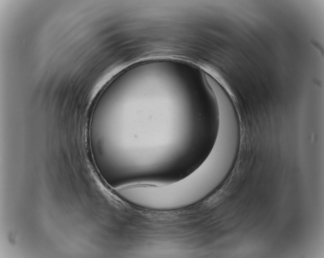 X0000103261101200809121917