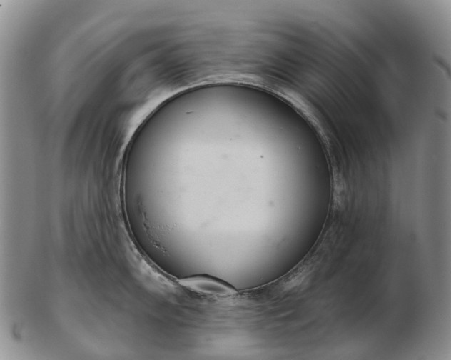 X0000103261102200809121917