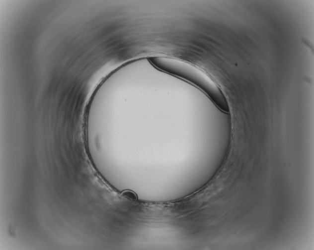 X0000103261104200809121917