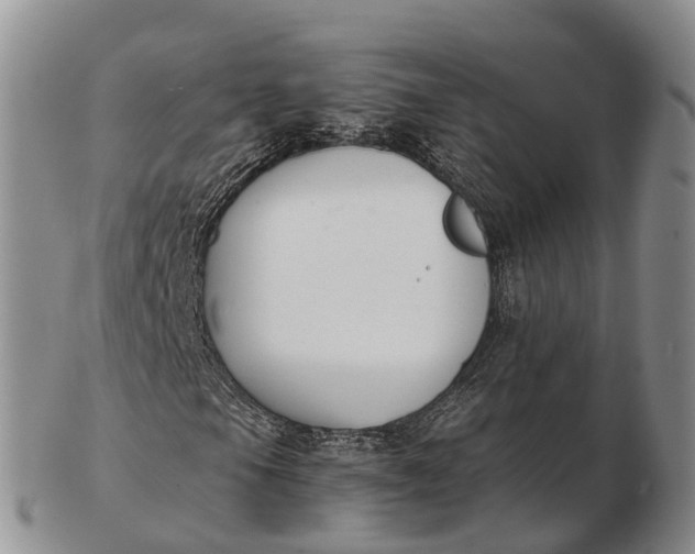 X0000103261105200809121917