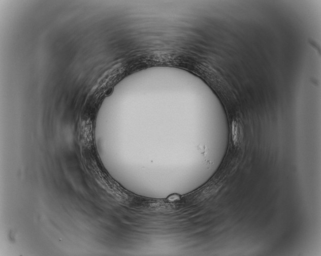 X0000103261107200809121917