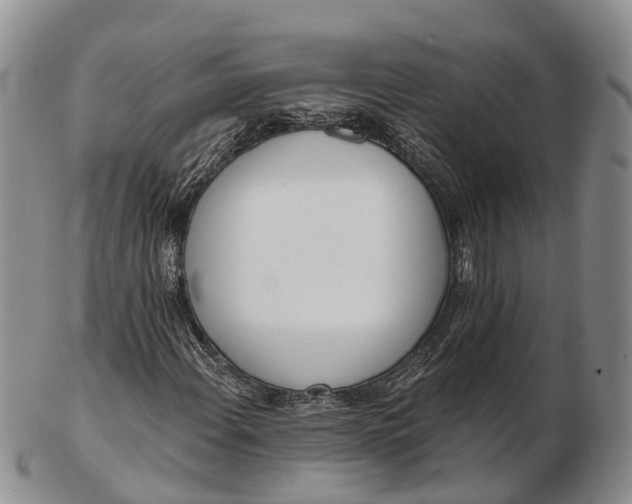 X0000103261108200809121917