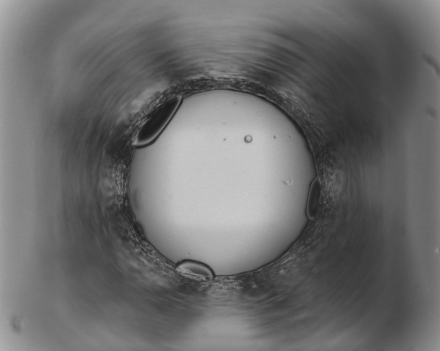 X0000103261110200809121917