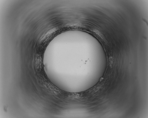 X0000103261111200809121917