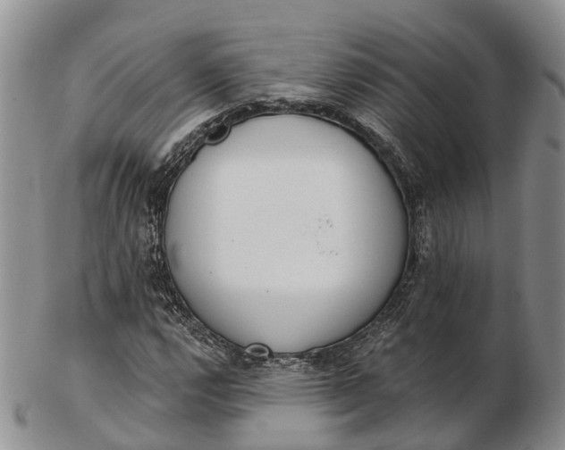 X0000103261112200809121917