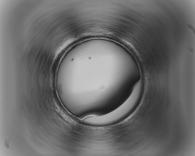 X0000103261114200809121917