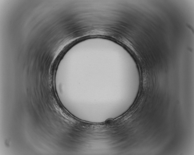 X0000103261116200809121917