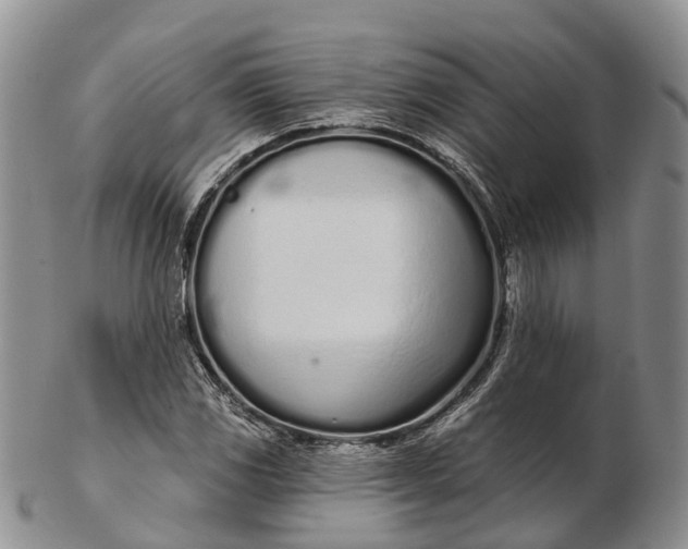 X0000103261117200809121917