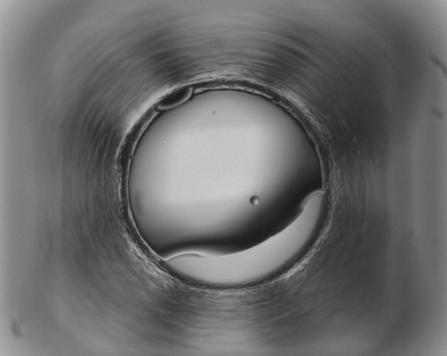 X0000103261118200809121917