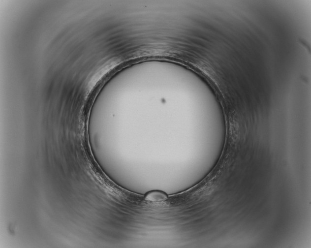 X0000103261119200809121917