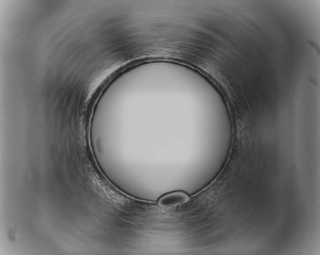 X0000103261120200809121917