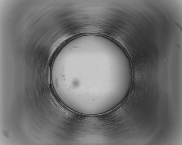 X0000103261123200809121917