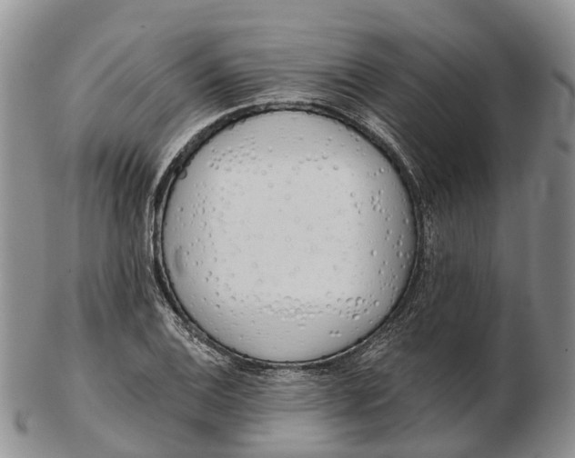 X0000103261124200809121917