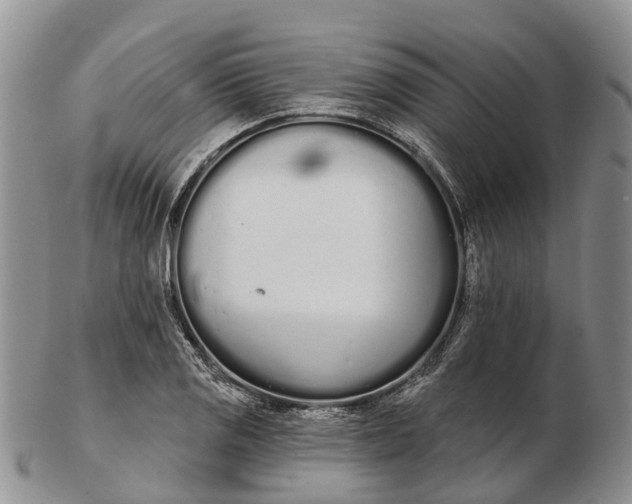 X0000103261125200809121917