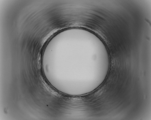 X0000103261126200809121917