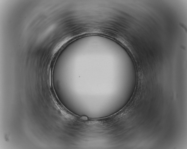 X0000103261127200809121917