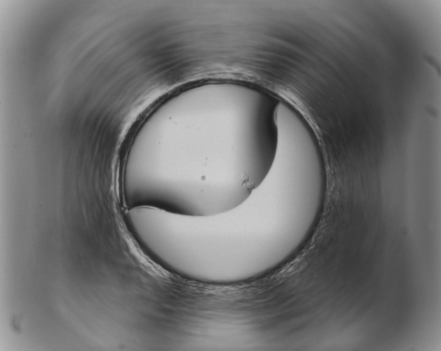 X0000103261128200809121917