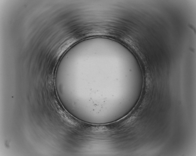 X0000103261129200809121917