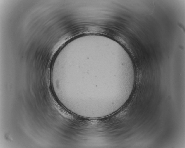 X0000103261130200809121917