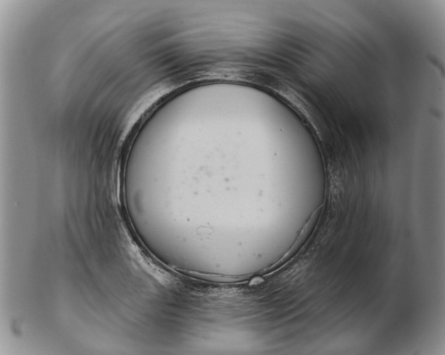 X0000103261131200809121917