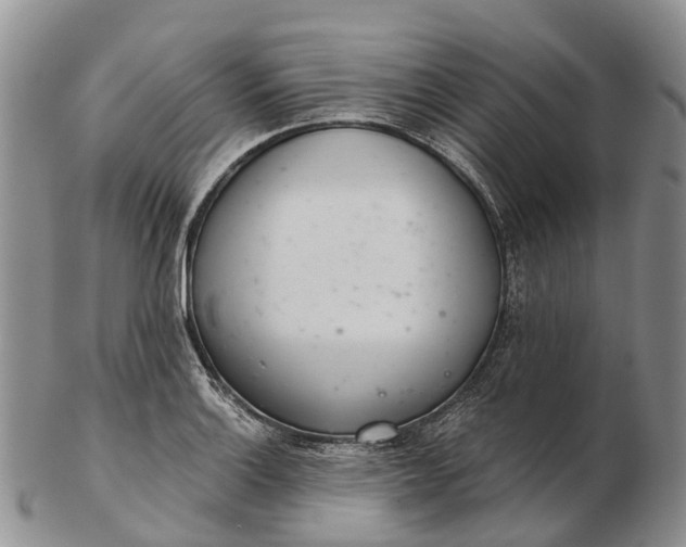 X0000103261132200809121917