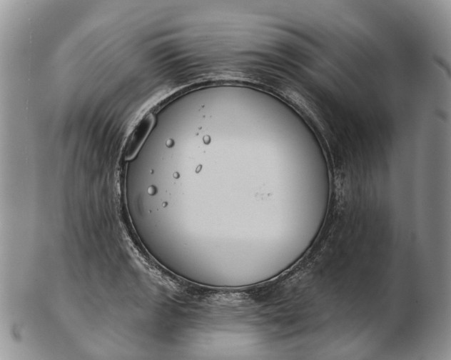 X0000103261133200809121917