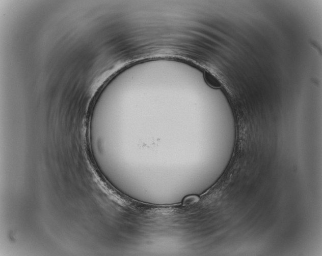 X0000103261134200809121917