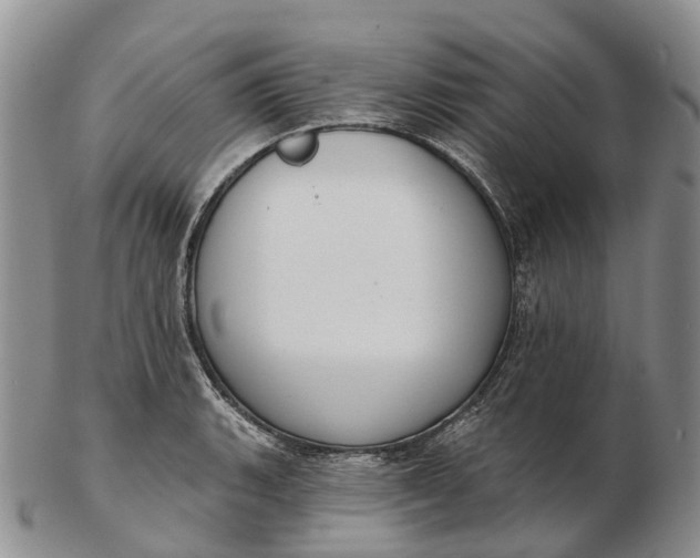 X0000103261135200809121917