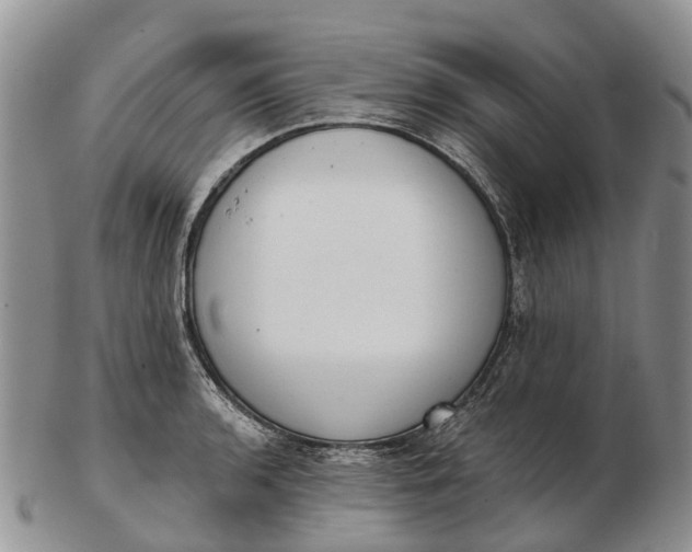 X0000103261136200809121917