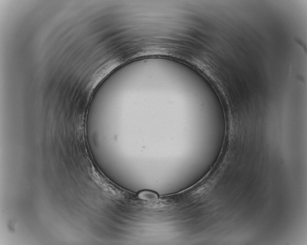 X0000103261137200809121917