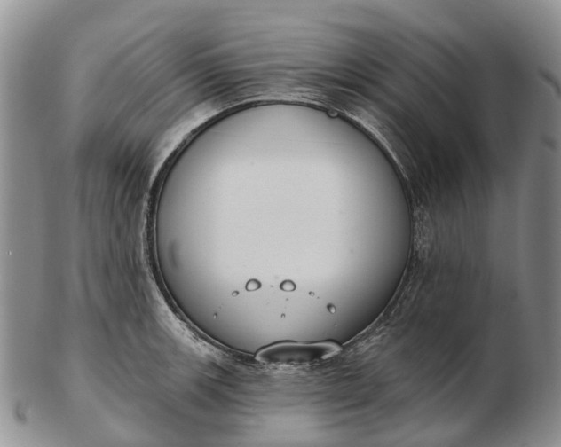 X0000103261139200809121917