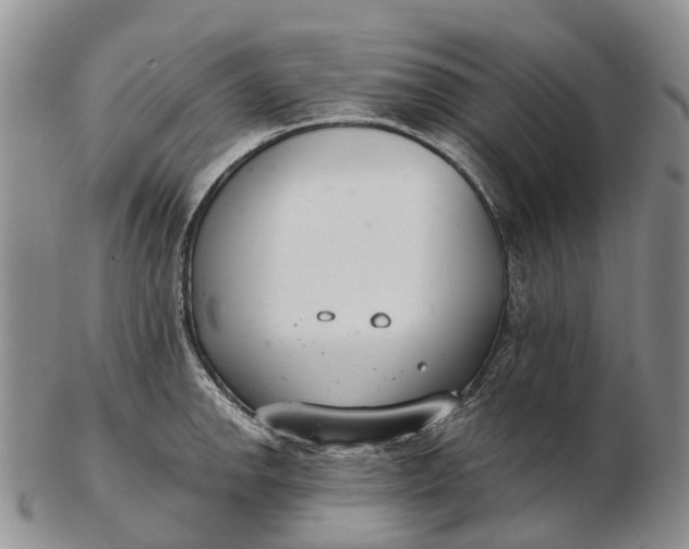 X0000103261142200809121917