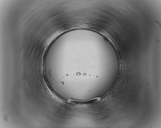 X0000103261143200809121917