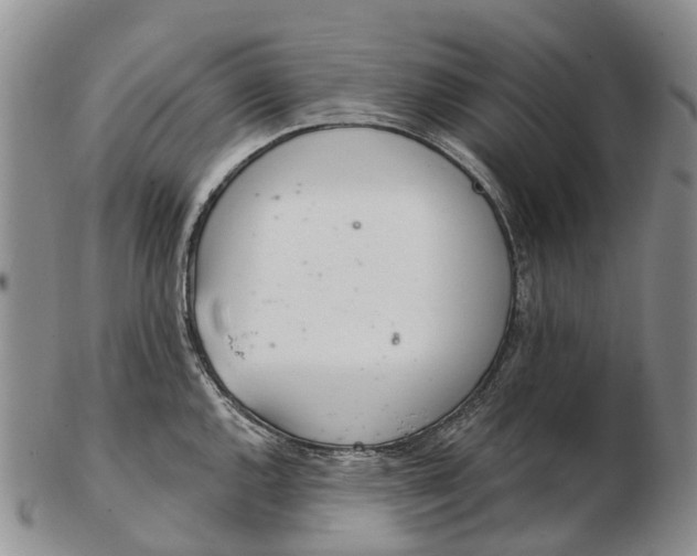 X0000103261144200809121917