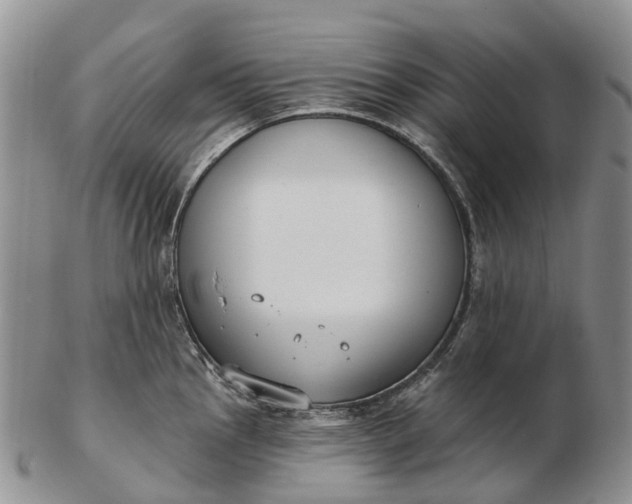 X0000103261145200809121917