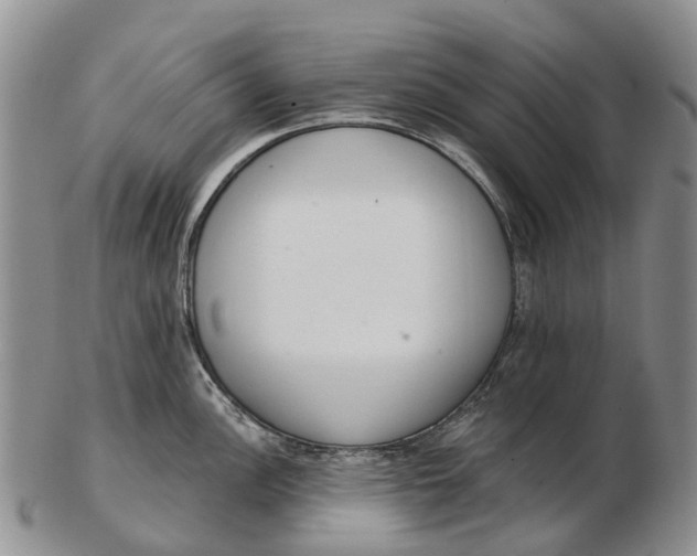 X0000103261148200809121917