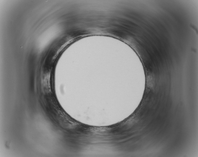 X0000103261150200809121917