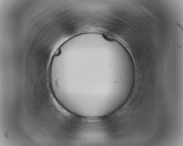 X0000103261152200809121917