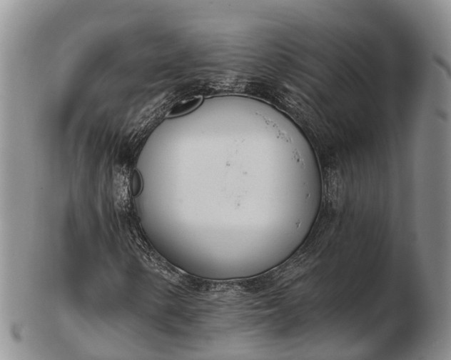 X0000103261154200809121917