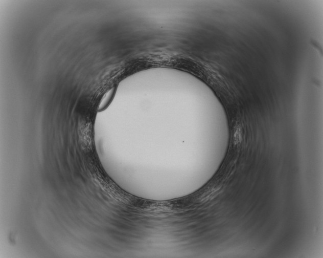 X0000103261156200809121917