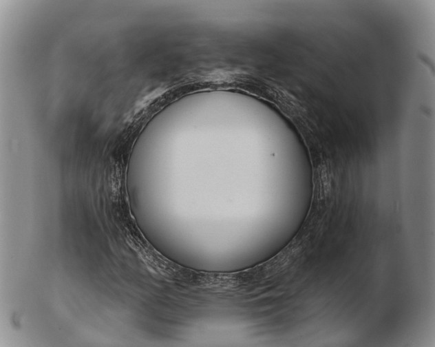 X0000103261158200809121917