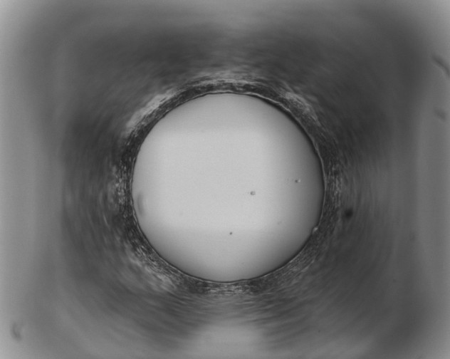 X0000103261159200809121917