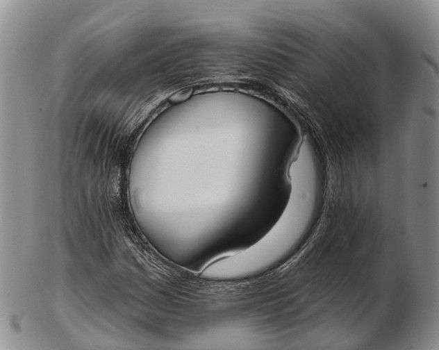 X0000103261161200809121917