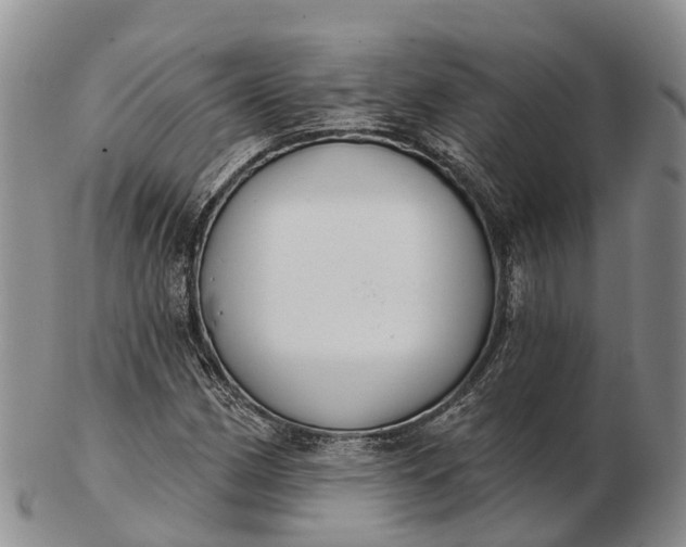 X0000103261162200809121917