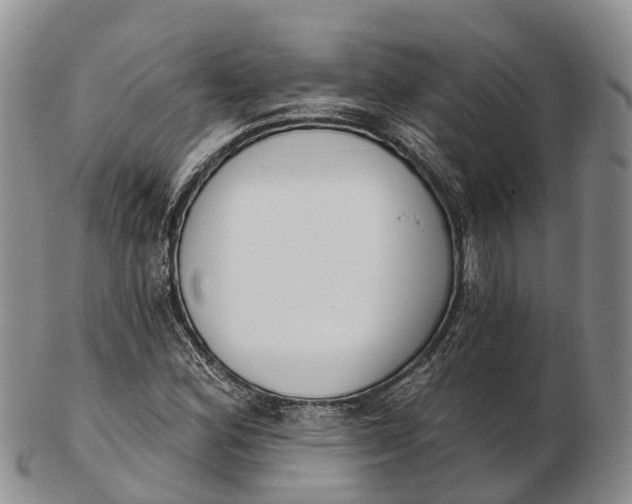 X0000103261164200809121916