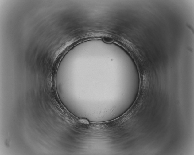 X0000103261165200809121916