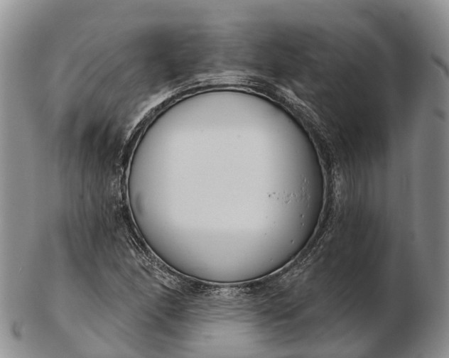 X0000103261166200809121916