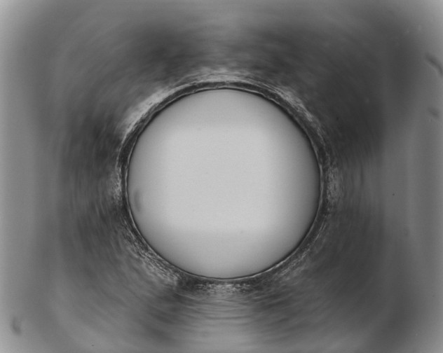 X0000103261167200809121916