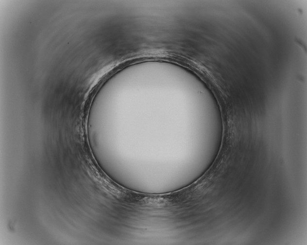 X0000103261168200809121916