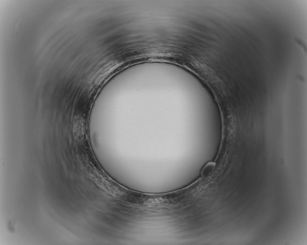 X0000103261169200809121916